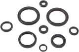 WINDEROSA OIL SEAL SET 822989